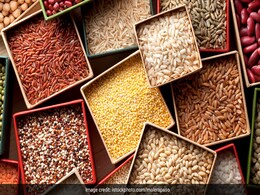 सूखे मेवों जैसा पोषण देंगे ये 4 तरह के बीज, वजन घटाने से लेकर हड्डियां मजबूत बनाने में मिलेगी मदद  सूखे मेवों जैसा पोषण देंगे ये 4 तरह के बीज, वजन घटाने से लेकर हड्डियां मजबूत बनाने में मिलेगी मदद