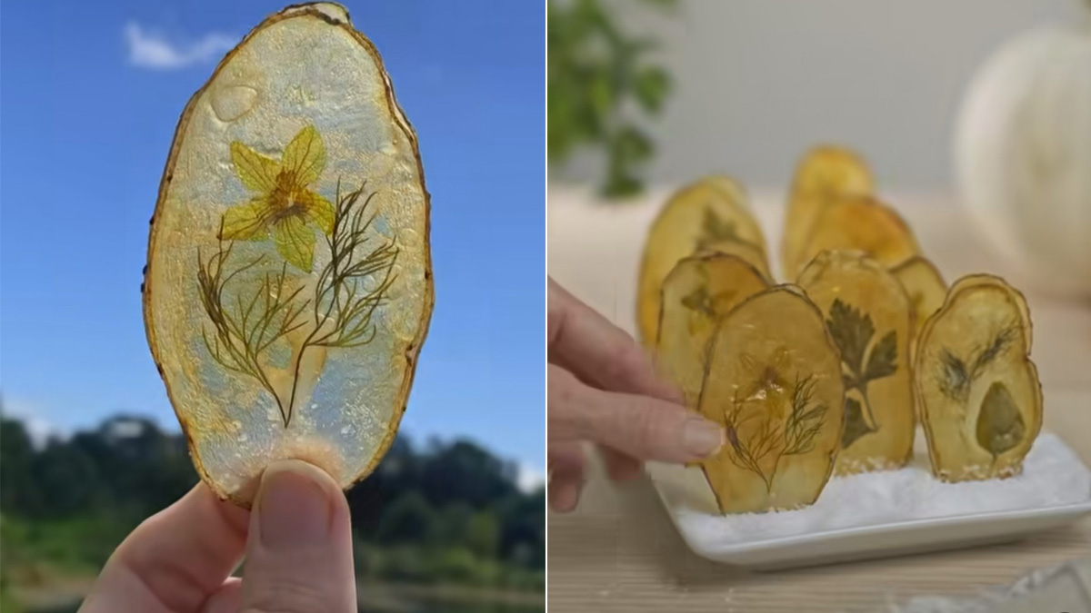 Viral: After Invisible Potato Chips, 'Windowpane Chips' Wow The Internet