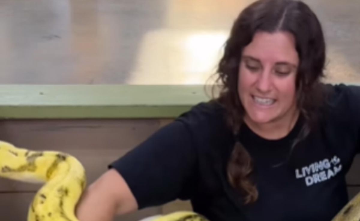 कई ख़तरनाक सांपों के साथ दोस्ती करना चाह रही थी महिला, फिर हुआ कुछ ऐसा जिसे पूरी ज़िंदगी पर नहीं भूल पाएगी