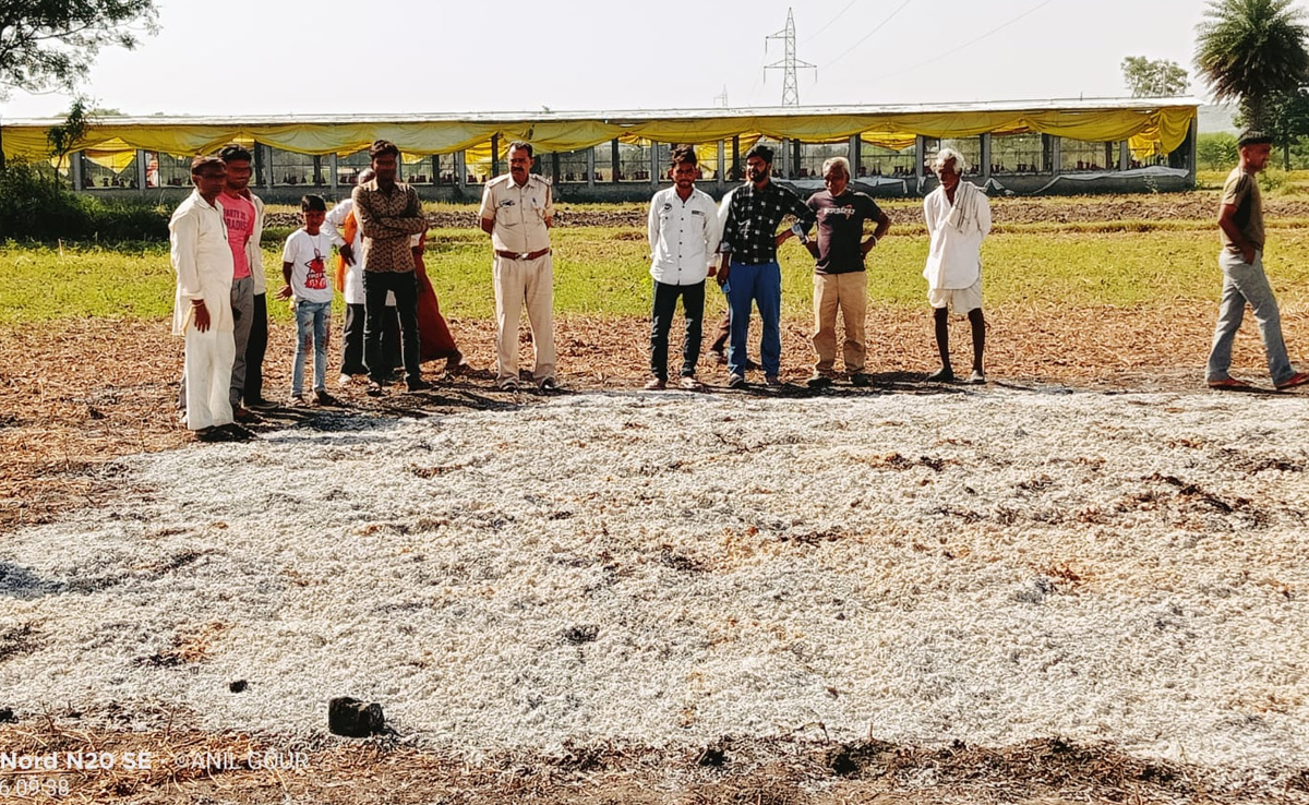 झालावाड़ : खलिहान में रखी 8 बीघा खेत से सोयाबीन की फसल बदमाशों ने जलाकर कर दी खाक