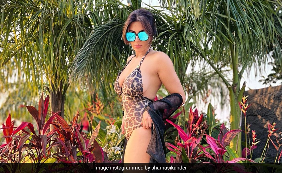 Shama Sikander Reflects And Radiates In A Fiercely Printed Swimsuit