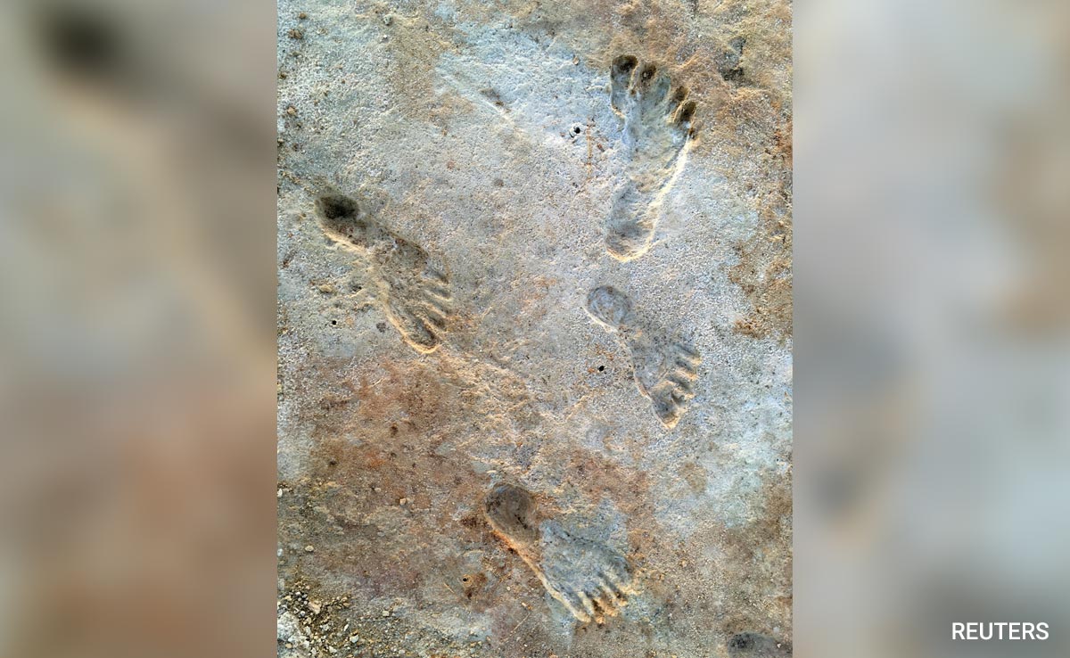 Footprints Dating Back To Over 20,000 Years Found In New Mexico