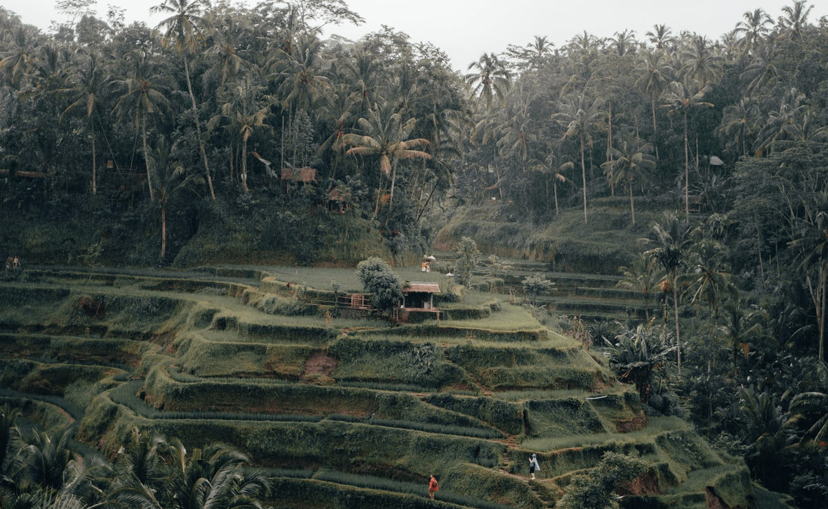 Bali Authorities Hunt Tourist After Video Of His Indecent Act At Hindu Temple Goes Viral