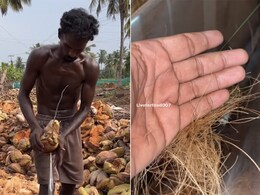 Viral Video Shows How Ropes Are Made From A Part Of Coconuts, Gets 26 Million Views