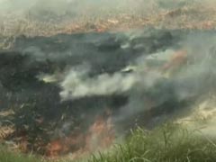 Air Quality Concerns As Punjab Stubble-Burning Returns Ahead Of Winter