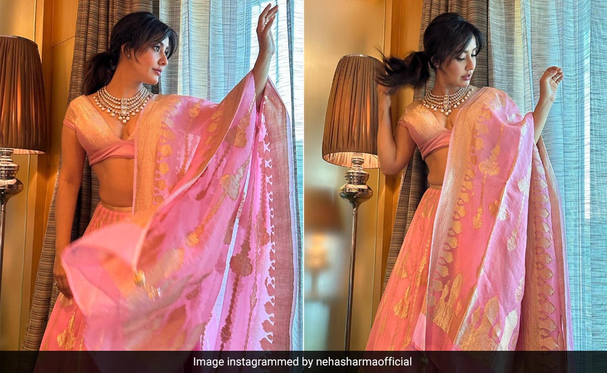 Neha Sharma's Festive Vibes Are Barbie Approved In A Blush Pink <i>Benarasi Lehenga</i>