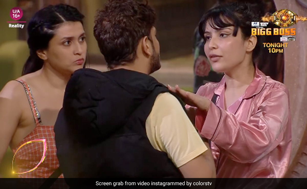 Bigg Boss 17: मुनव्वर फारूकी और खानजादी की हुई लड़ाई, हो गई सारी हदें पार!