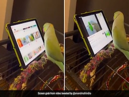 यूट्यूब पर अपने पसंद के वीडियो देखता है ये तोता, आनंद महिंद्रा ने शेयर किया Video, इंसानों पर किया ये तंज यूट्यूब पर अपने पसंद के वीडियो देखता है ये तोता, आनंद महिंद्रा ने शेयर किया Video, इंसानों पर किया ये तंज