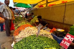 Metals Found In Vegetables In Large Quantities In Bengaluru: Report Metals Found In Vegetables In Large Quantities In Bengaluru: Report