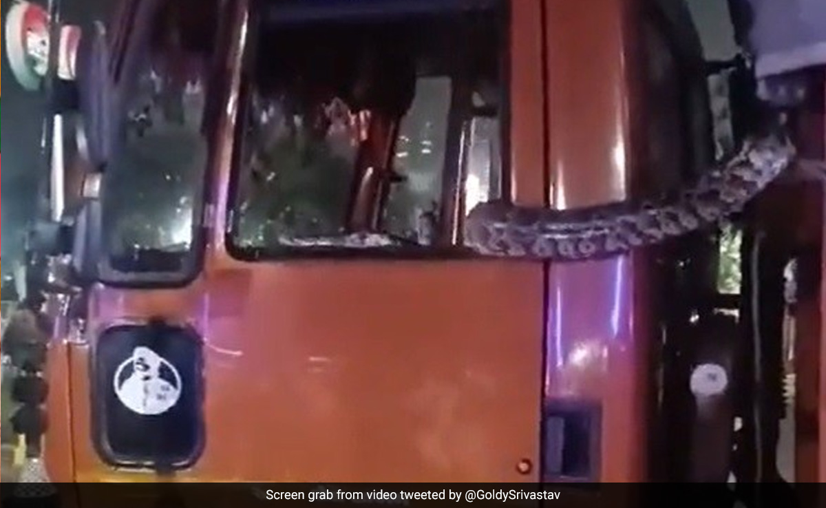 Noida Police Shares Video Of How They Rescued "Unexpected Hitchhiker" From Truck