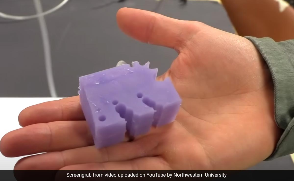 "Instant Evolution": New AI Tool Can Design Robots From Scratch In Seconds