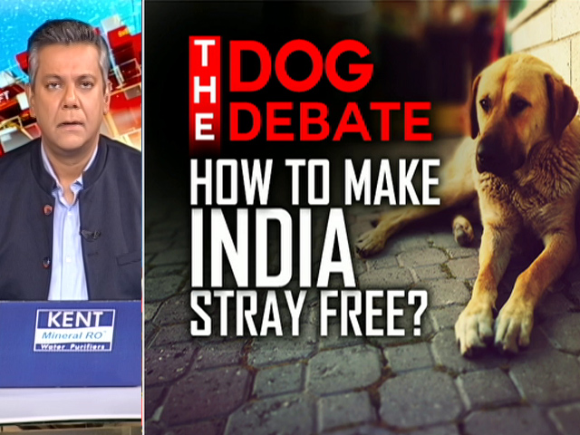 The Dog Debate: How To Make India Stray Free?