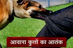 पराग देसाई पर कुत्तों ने किया हमला, सड़क पर गिरने से सिर पर लगी चोट से मौत पराग देसाई पर कुत्तों ने किया हमला, सड़क पर गिरने से सिर पर लगी चोट से मौत