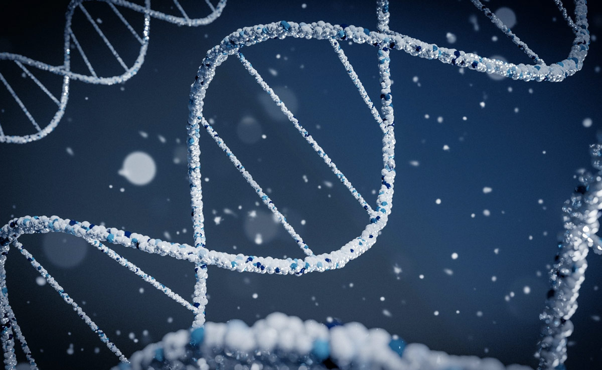 Hackers Claim To Have Stolen Millions Of Users' DNA Data, Sell It Online