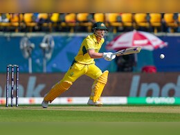 David Warner To Miss T20I Series Against India Following World Cup Win