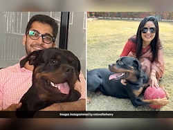 &quot;Why Can&#039;t You Sort It Out?&quot; Court To Mahua Moitra, Lawyer Over Dog Custody