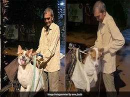 पालतू कुत्ते को साइकिल पर बैठाकर हर रोज़ अपने साथ काम पर ले जाते हैं 70 साल के ये सिक्योरिटी गार्ड, कहानी दिल छू लेगी पालतू कुत्ते को साइकिल पर बैठाकर हर रोज़ अपने साथ काम पर ले जाते हैं 70 साल के ये सिक्योरिटी गार्ड, कहानी दिल छू लेगी