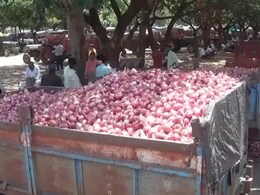 राष्ट्रीय राजधानी में प्याज में तेजी जारी, अखिल भारतीय औसत दर 53.75 रुपये प्रति किलो राष्ट्रीय राजधानी में प्याज में तेजी जारी, अखिल भारतीय औसत दर 53.75 रुपये प्रति किलो