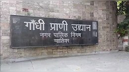 Gwalior News: 15 दिन में दो मौते.... ग्वालियर जू में एक और शावक ने तोड़ा दम&nbsp;