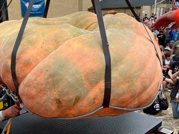 World's Heaviest Pumpkin Weighs More Than 1200 Kilos, See Pics