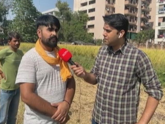 Farm Fire Season Begins In Punjab, Pollution Worsens In Neighbouring Delhi-NCR