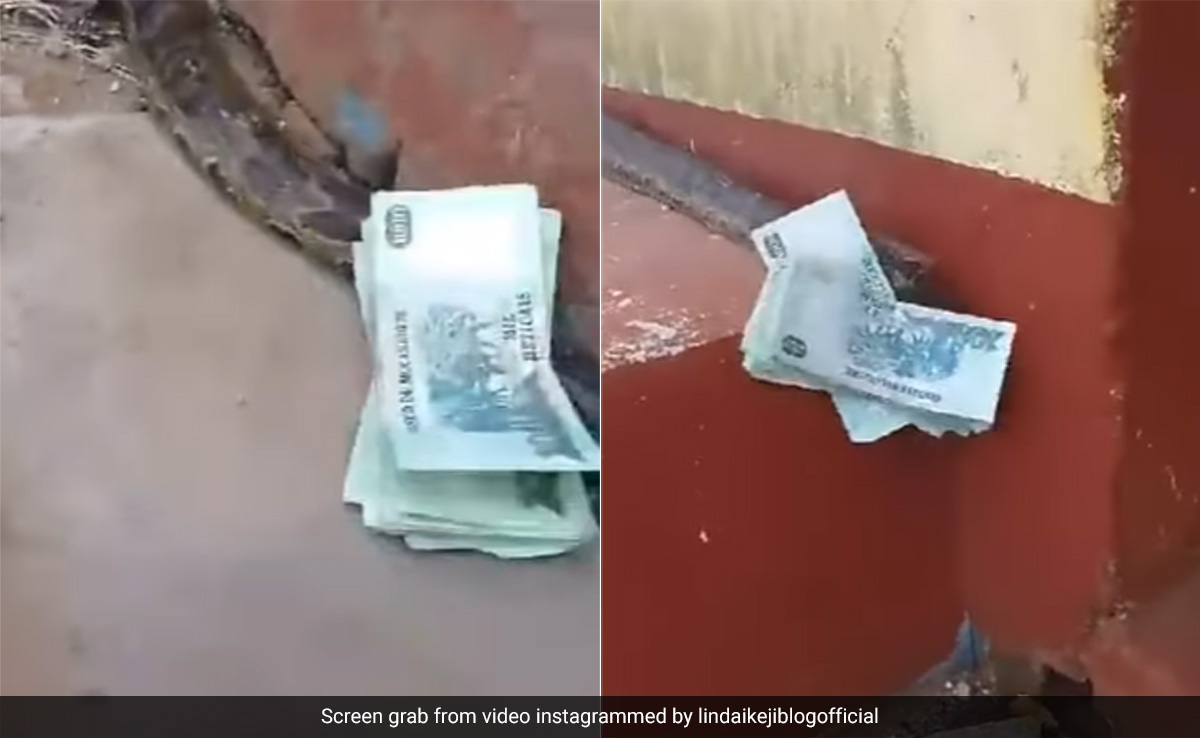 पैसे चुराने वाला सांप! नोटों की गड्डी दबाए रेंगते हुए घर में घुसता नज़र आया खतरनाक सांप, Video ने इंटरनेट पर मचा दी हलचल