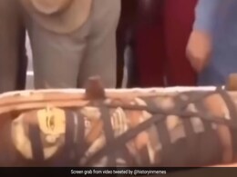 ढाई हजार साल पुराने कॉफिन से निकली ममी, देखने के लिए उमड़ी भीड़, इतिहास जान आप भी रह जाएंगे हैरान ढाई हजार साल पुराने कॉफिन से निकली ममी, देखने के लिए उमड़ी भीड़, इतिहास जान आप भी रह जाएंगे हैरान