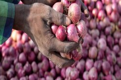 दिवाली से पहले और बढ़ेंगे प्याज के दाम?, फिर जनता की जेब पर पड़ेगा असर? दिवाली से पहले और बढ़ेंगे प्याज के दाम?, फिर जनता की जेब पर पड़ेगा असर?