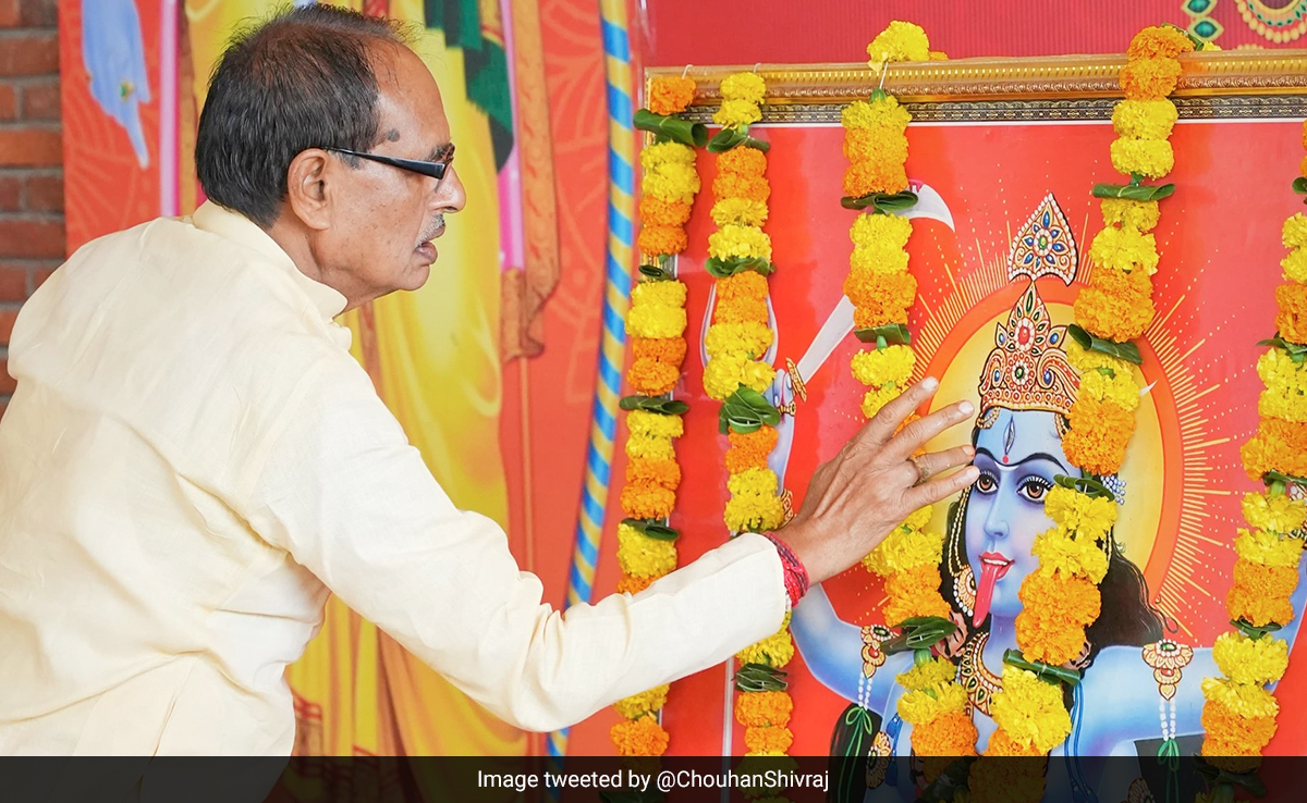 On Digvijaya Singh's "Dramatic" Jab, Shivraj Chouhan's Sharp Retort