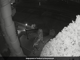 US Restaurant Claims A 'Ghost' Set Off Its Motion Detector Alarms, Shares Video US Restaurant Claims A 'Ghost' Set Off Its Motion Detector Alarms, Shares Video