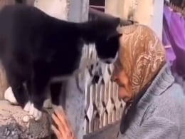दादी और बिल्ली के बीच हुई दोस्ती, वीडियो देख यूज़र्स ने कहा- प्यार को महसूस किया जा सकता है दादी और बिल्ली के बीच हुई दोस्ती, वीडियो देख यूज़र्स ने कहा- प्यार को महसूस किया जा सकता है