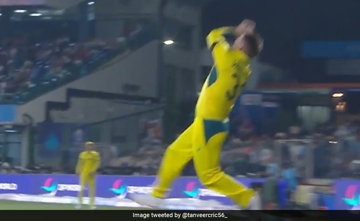 Video: बाउंड्री लाइन पर David Warner ने पकड़ा अद्भुत कैच, 'सुपरमैन' बनकर लूट ली महफिल