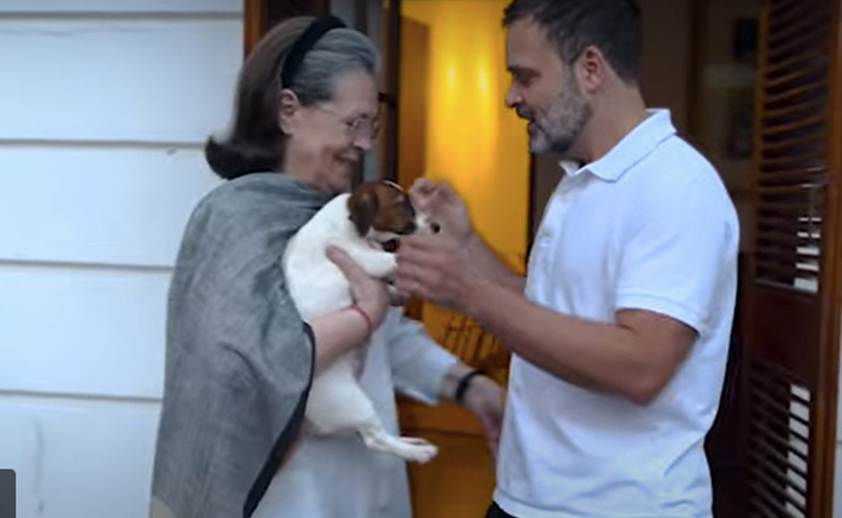 World Animal Day पर राहुल गांधी ने मां सोनिया गांधी को दिया खास तोहफा, देखें 'नूरी' का वीडियो