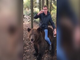 नशे में शख्स ने भालू पर चढ़कर की सवारी, फिर छलकाया जाम, जानवर ने कर दिया काम तमाम? नशे में शख्स ने भालू पर चढ़कर की सवारी, फिर छलकाया जाम, जानवर ने कर दिया काम तमाम?