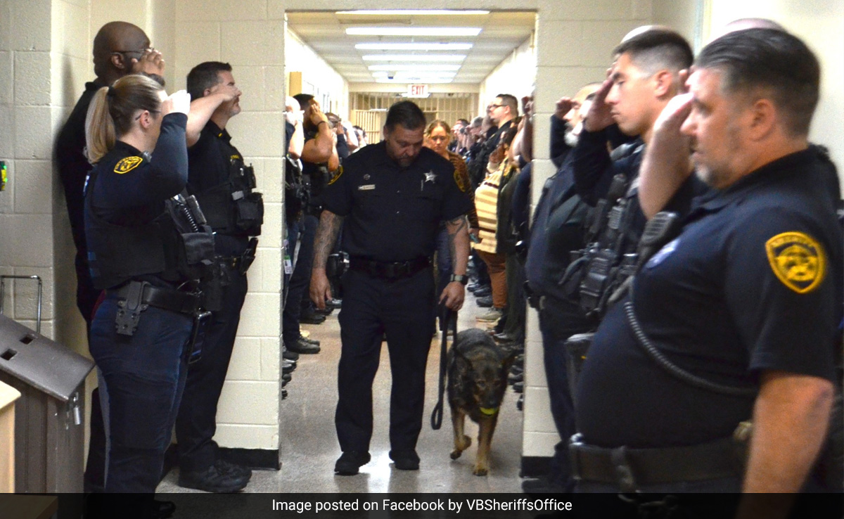 Video: US Police Dog With Terminal Cancer Gets Final Salute