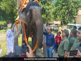 66 साल के हाथी का धूमधाम से हुआ विदाई समारोह, IFS अधिकारी ने शेयर किया Video, कही दिल जीत लेने वाली बात 66 साल के हाथी का धूमधाम से हुआ विदाई समारोह, IFS अधिकारी ने शेयर किया Video, कही दिल जीत लेने वाली बात