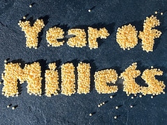 Most Searched Food in 2023: मिलेट्स से लेकर मोमोज तक, साल 2023 में सबसे ज्यादा ट्रेंडिंग में रहे ये फूड्स लोगों ने जमकर किया सर्च...