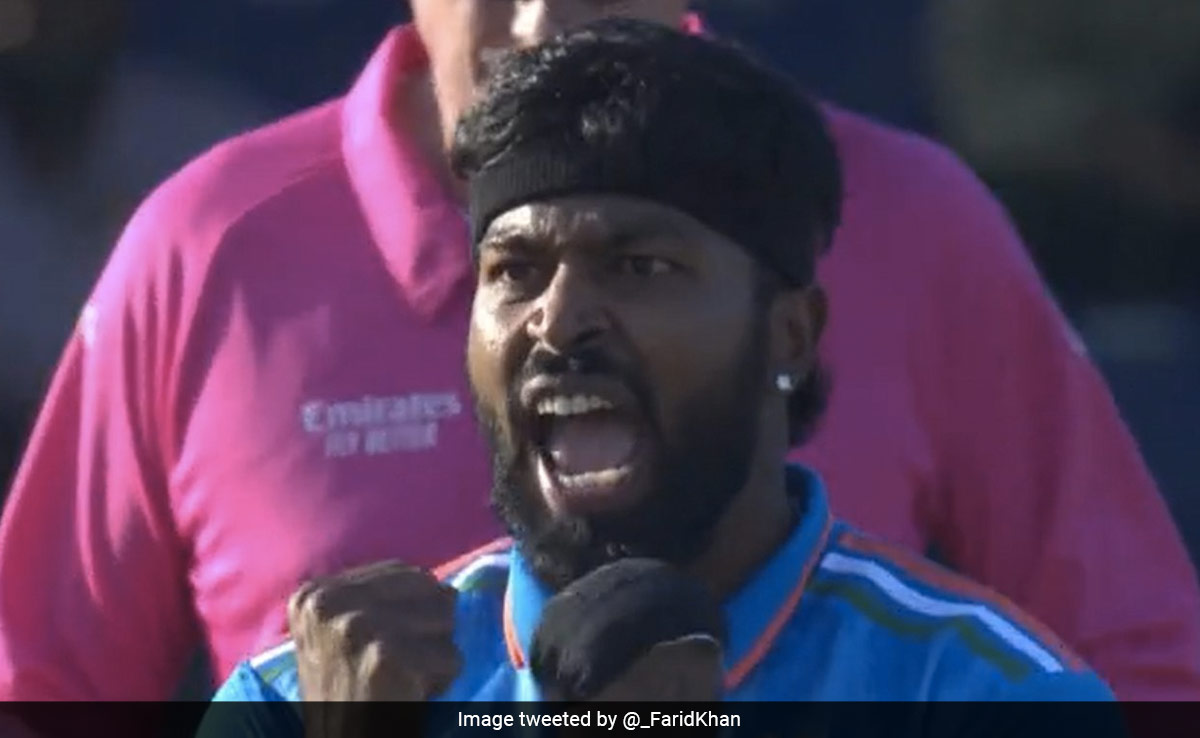 अफगानी खिलाड़ी को बोल्ड करने के बाद हार्दिक ने आंख दिखाकर गुस्से से मनाया जश्न, रोहित ने ऐसे किया रिएक्ट, Video