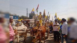 MP Elections: सीरियल्स के बाद AAP से चुनाव लड़ रहीं चाहत पांडे, बैलगाड़ी से पहुंचकर भरा पर्चा