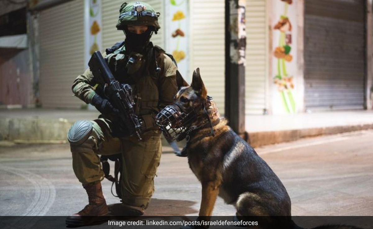 Israel Military's Canine Unit Rescues 200 People Amid Conflict