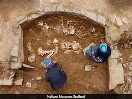 14 Skeletons Found In Ruined 5,000-Year-Old Neolithic Tomb In Scotland 14 Skeletons Found In Ruined 5,000-Year-Old Neolithic Tomb In Scotland