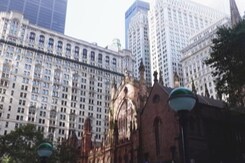 "American Nightmare": What New Yorkers Think About Migrant Crisis "American Nightmare": What New Yorkers Think About Migrant Crisis