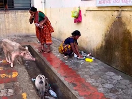 स्वास्थ्य विभाग की पोल खोलता नांदेड का सरकारी अस्पताल, 12 दिन में 127 मौतें, कितना हुआ सुधार? स्वास्थ्य विभाग की पोल खोलता नांदेड का सरकारी अस्पताल, 12 दिन में 127 मौतें, कितना हुआ सुधार?