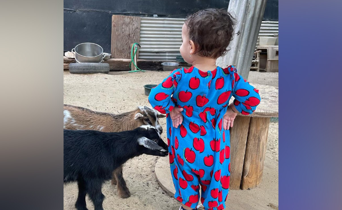 In Nick Jonas' September Photo Dump, Little Malti Marie Steals The Show