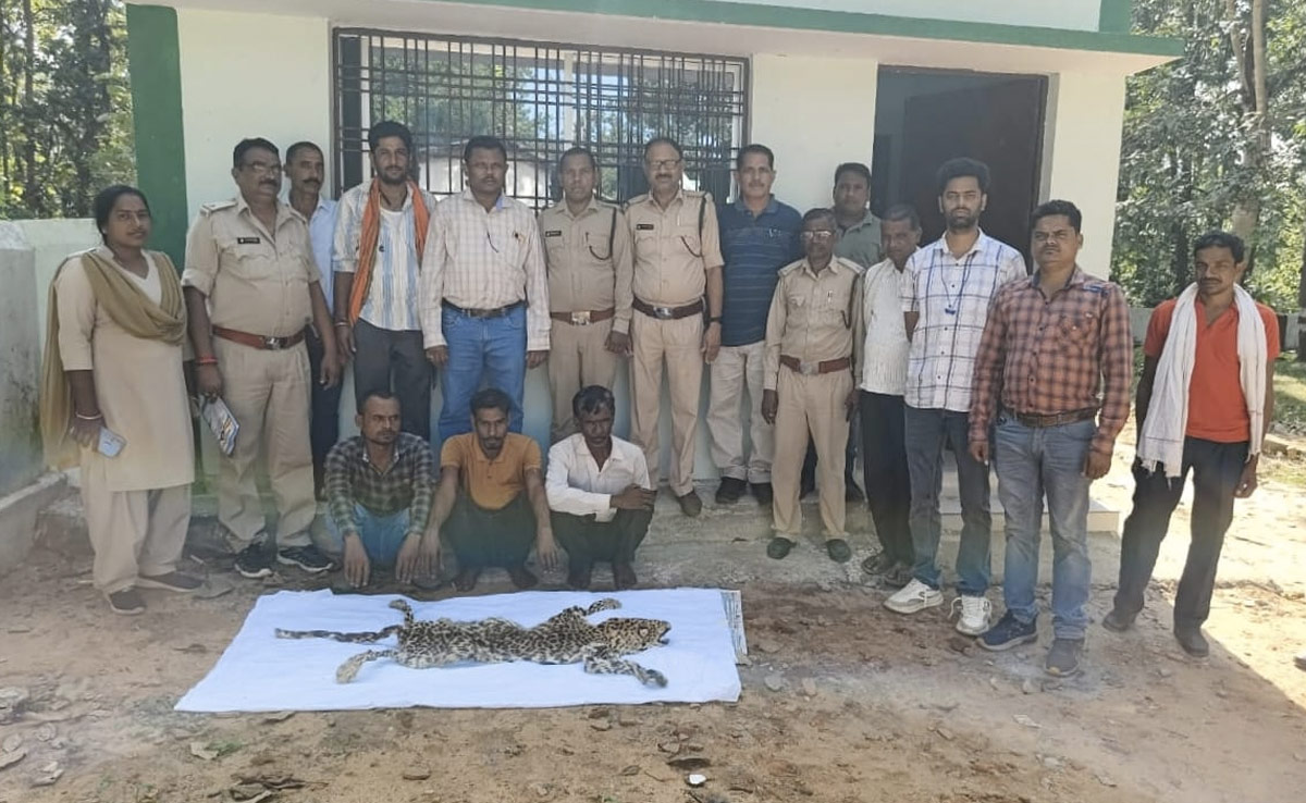 Chhattisgarh News: तेंदुए की खाल के साथ पकड़े गए तीन तस्कर, न्यायिक रिमांड पर भेजे गए