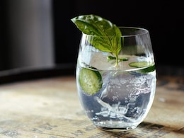 The Ultimate Guide To 2024's Gin Trends: How India Is Changing The Sipping Game