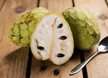 It's The Custard Apple Season! 10 Reasons Why You Should Stock Up On This Healthy and Tasty Fruit It's The Custard Apple Season! 10 Reasons Why You Should Stock Up On This Healthy and Tasty Fruit