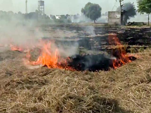Punjab Farms On Fire, Delhi Chokes: Who Is To Blame?