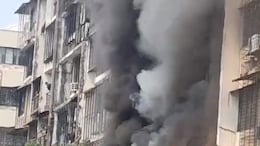 2 Die In Fire At 8-Storey Building In Mumbai's Borivali, Fire-Fighting Ops On