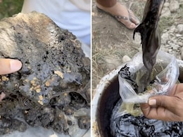 Real Shilajit: पहाड़ों में कैसे तैयार होती है असली शिलाजीत, यहां देखें वायरल वीडियो